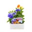 Pansy F1 Mixed 6 Pack Boxed Bedding Alternative Image