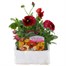 Pansy F1 Red 6 Pack Boxed Bedding Alternative Image