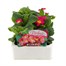 Primrose Pink 6 Pack Boxed Bedding Alternative Image