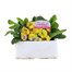 Primrose Yellow 6 Pack Boxed Bedding Alternative Image