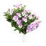 Viola F1 Pink 6 Pack Boxed Bedding Alternative Image