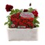 Viola F1 Red 6 Pack Boxed Bedding Alternative Image