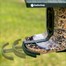 FeatherSnap Scout Smart Bird Feeder (FSBF001) Alternative Image