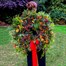 Festive Berries and Bramble Door Wreath Alternative Image