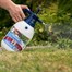 Flopro Pressure Sprayer 2ltr (11530) Direct DispatchAlternative Image1