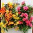 Flower Tower 60cm Wall Mounted Vertical Gardening Planter (FT002)Alternative Image1