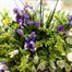 For Them Handtied Pride Cut Flower BouquetAlternative Image3