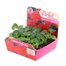Geranium F1 Hybrid Red 20 Baby Bedding Cell Plug Plants Alternative Image