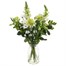 Green and White Letter Box FlowersAlternative Image5