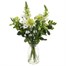 Green and White Letter Box FlowersAlternative Image5