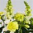 Green and White Letter Box FlowersAlternative Image1