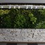 Green4Air 12 Pod Greenwall Vertical Gardening Starter PackAlternative Image11