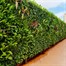 Green4Air 12 Pod Greenwall Vertical Gardening Starter PackAlternative Image12