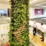 Green4Air 12 Pod Greenwall Vertical Gardening Starter PackAlternative Image14