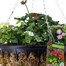 Hanging Seasonal Bedding Mossed Basket 12 Inches - Summer Alternative Image