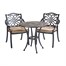 Hartman Capri Amber & Bronze Bistro Outdoor Garden Furniture SetAlternative Image2