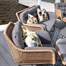 Hartman Rayo Lounge Coffee Outdoor Garden Furniture Set Alternative Image