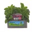 Heliotrope Marine Jumbo 6 Pack Boxed BeddingAlternative Image1