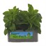 Heliotrope Marine Jumbo 6 Pack Boxed BeddingAlternative Image2