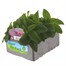 Heliotrope Marine Jumbo 6 Pack Boxed BeddingAlternative Image3