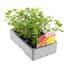 Million Bells Hot Collection 6 Pack Boxed BeddingAlternative Image3