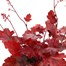 Heuchera Fire Chief 2L Pot BeddingAlternative Image2