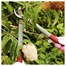Kent & Stowe Garden Life Short Handled Loppers (70100608)Alternative Image1