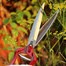 Kent & Stowe Surecut Perennial Hand Shears (70100506)Alternative Image2