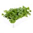 Lettuce Iceberg 12 Pack Boxed Vegetable Alternative Image