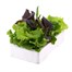 Lettuce Mixed Salad Tuscan 12 Pack Boxed VegetablesAlternative Image1