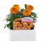 Marigold African Antigua Orange 6 Pack Boxed BeddingAlternative Image1