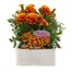 Marigold French Durango Bee 6 Pack Boxed BeddingAlternative Image1