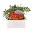 Marigold French Durango Flame 6 Pack Boxed BeddingAlternative Image1