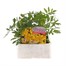 Marigold French Durango Lemon Zest 6 Pack Boxed BeddingAlternative Image1