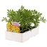 Marigold French Durango Yellow 6 Pack Boxed BeddingAlternative Image2