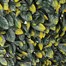 Mercer 100 x 200cm Laurel Leaf Garden Trellis (YOJ-828)Alternative Image4