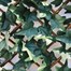 Mercer 100 x 200cm Ivy Leaf Willow Garden Trellis (YOJ-777)Alternative Image2