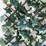 Mercer 100 x 200cm Ivy Leaf Willow Garden Trellis (YOJ-777)Alternative Image3