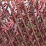 Mercer 100 x 200cm Red Acer Garden Trellis (YOJ-772)Alternative Image1