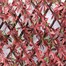 Mercer 100 x 200cm Red Acer Garden Trellis (YOJ-772)Alternative Image2