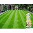 Viano MO Bacter Organic Lawn Fertiliser and Moss Killer 4kgAlternative Image1