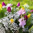 Mother's Day Tulips and Freesia Hand Tied Floral Bouquet Alternative Image