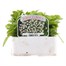 Myosotis White 6 Pack Boxed Bedding  Alternative Image