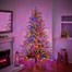 National Tree 2.25m (7.5ft) Greensburg Fir Pre Lit Artificial Christmas Tree (PEGR-307DB-75) Alternative Image