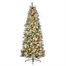National Tree 2.28m (7.5ft) Frosted Calgary Pre Lit Artificial Christmas Tree (CAG8-304LB-7) Alternative Image