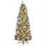 National Tree 2.2m (7.2ft) Frosted Calgary Pre Lit Artificial Christmas Tree (CAG8-304LB-75) Alternative Image