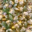 National Tree 2.2m (7.2ft) Frosted Calgary Pre Lit Artificial Christmas Tree (CAG8-304LB-75) Alternative Image