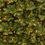 National Tree 2.3m (7.5ft) Newberry Spruce Pre Lit Artificial Christmas Tree with 750 Warm White LEDs (PEND2-300LB-75) Alternative Image