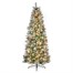 National Tree 2m (6.5ft) Frosted Calgary Pine Artificial Christmas Tree (CAG8-304LB-6) Alternative Image