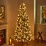 National Tree 2m (6.5ft) Frosted Calgary Pine Artificial Christmas Tree (CAG8-304LB-6) Alternative Image